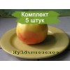 Саженцы яблони Куйбышевское - 5 шт.: фото и описание